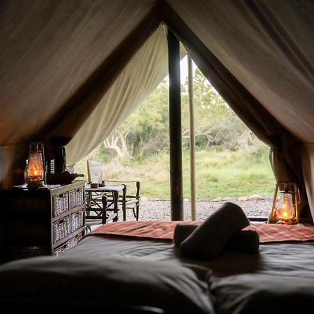 Quatermain'S 1920'S Safari Camp - Amakhala Game Reserve Hotel Exterior photo