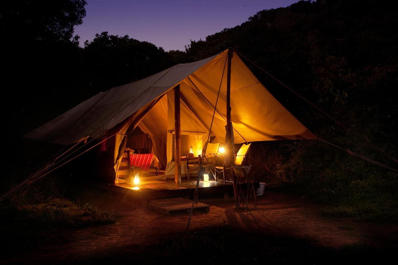 Quatermain'S 1920'S Safari Camp - Amakhala Game Reserve Exterior photo