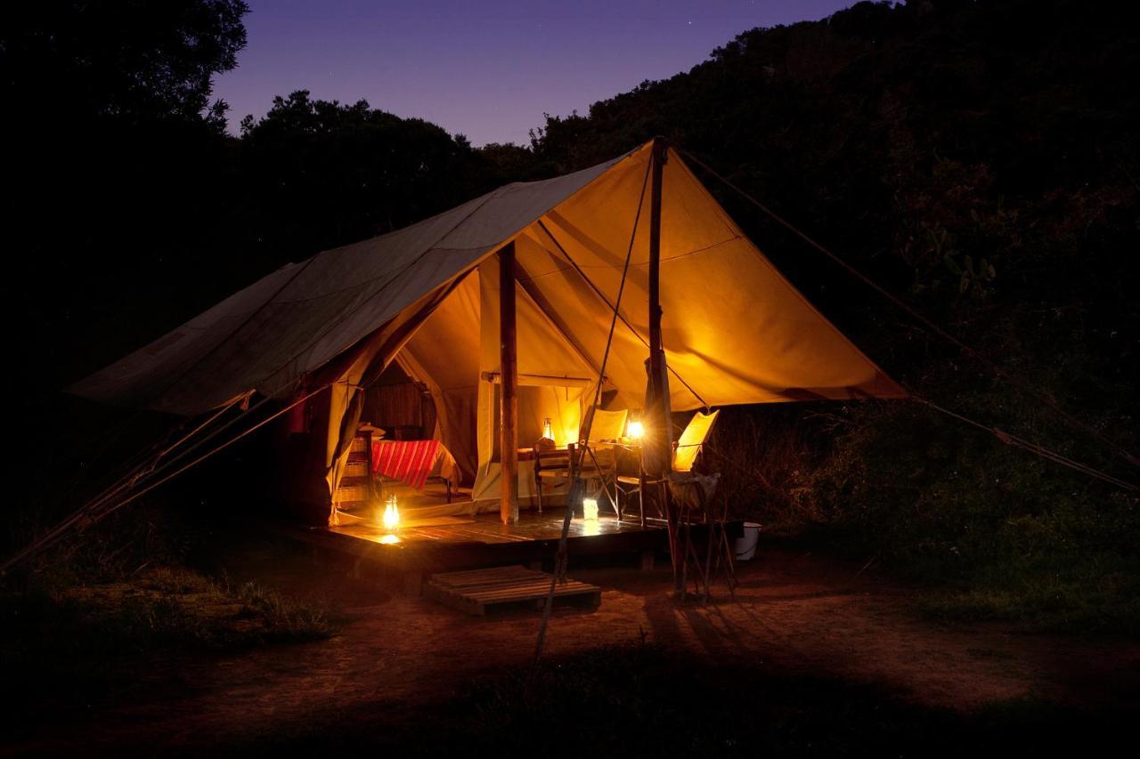 Quatermain'S 1920'S Safari Camp - Amakhala Game Reserve Hotel Exterior photo