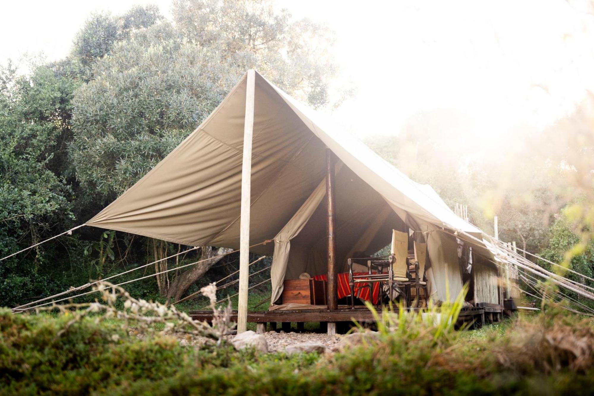 Quatermain'S 1920'S Safari Camp - Amakhala Game Reserve Hotel Exterior photo