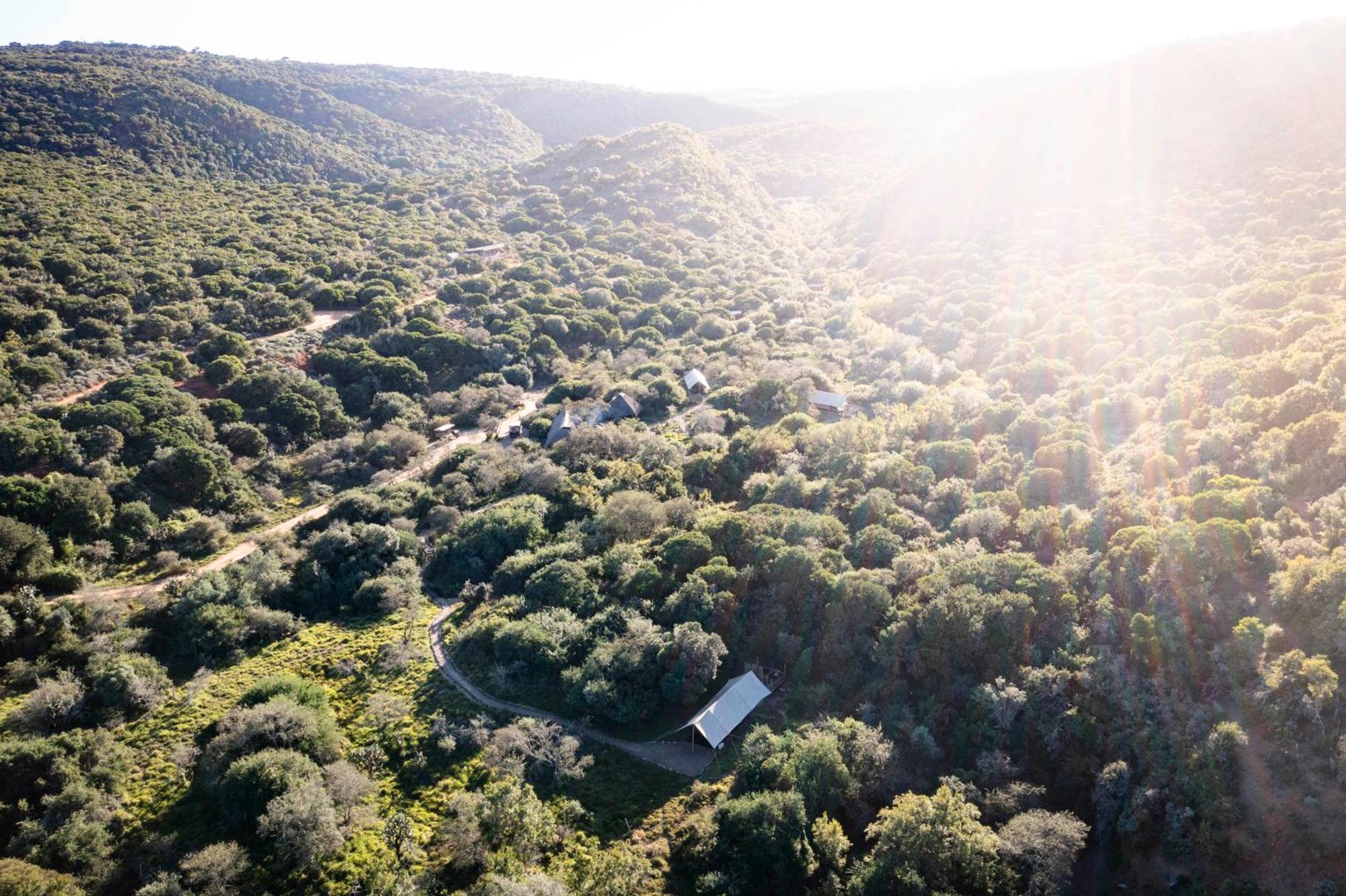 Quatermain'S 1920'S Safari Camp - Amakhala Game Reserve Hotel Exterior photo