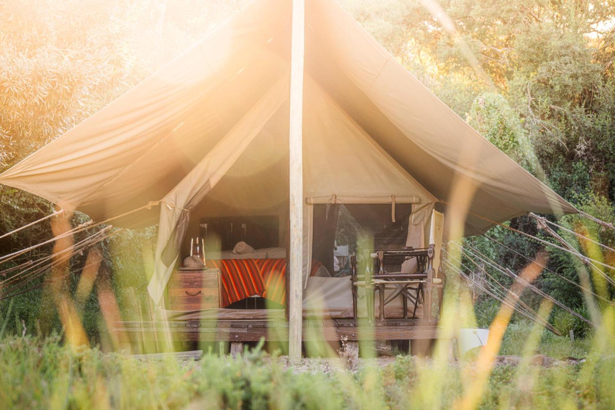 Quatermain'S 1920'S Safari Camp - Amakhala Game Reserve Hotel Exterior photo