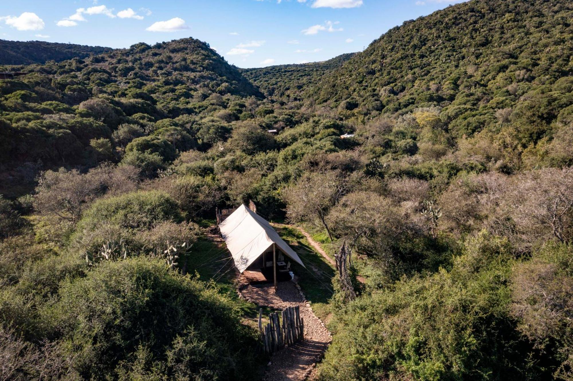 Quatermain'S 1920'S Safari Camp - Amakhala Game Reserve Exterior photo